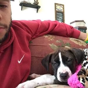 Meet your Posher, Clinton